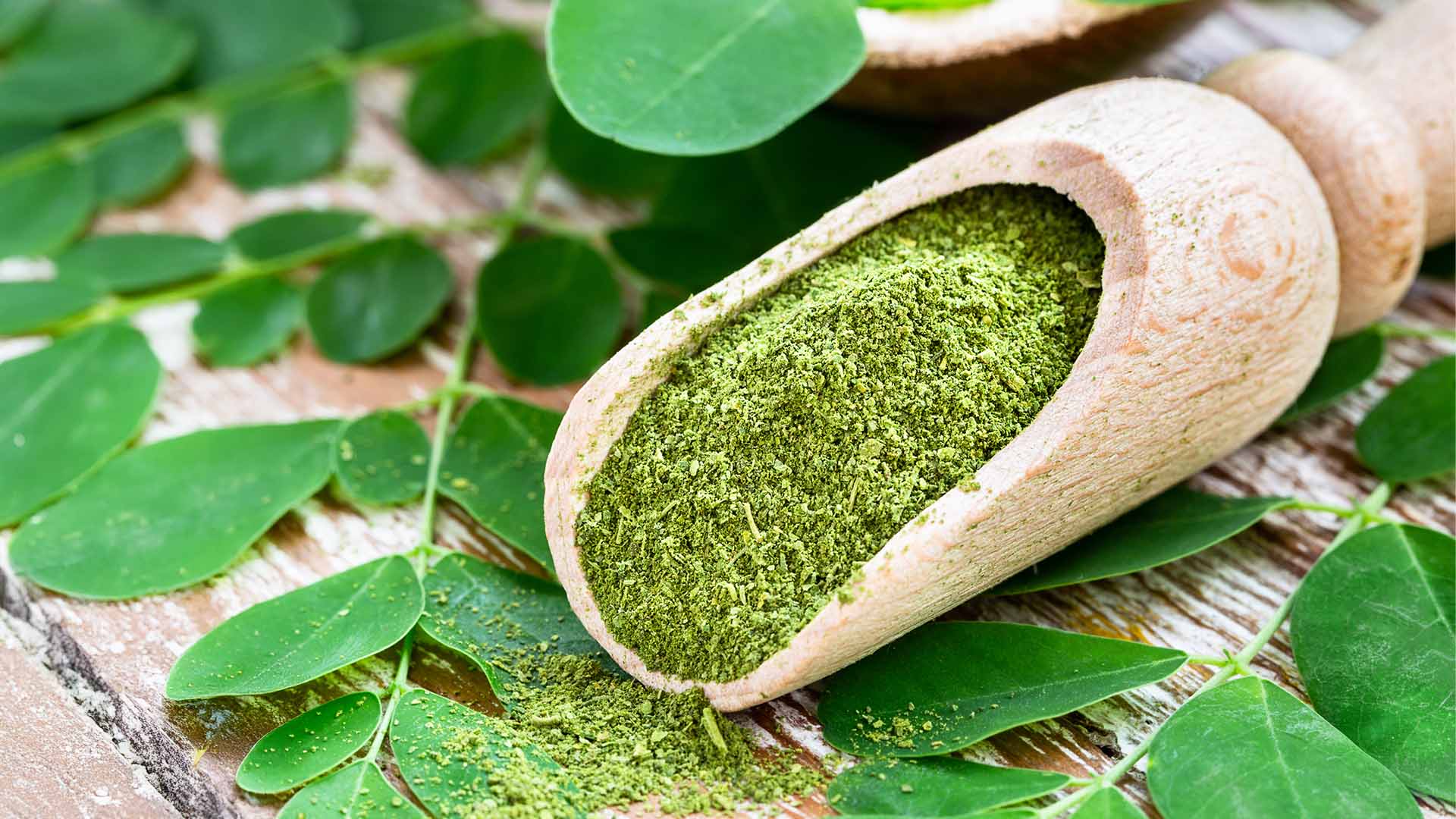 Organic moringa powder with fresh moringa leaves. Organic moringa powder helps in weight loss by boosting metabolism and supporting digestion.